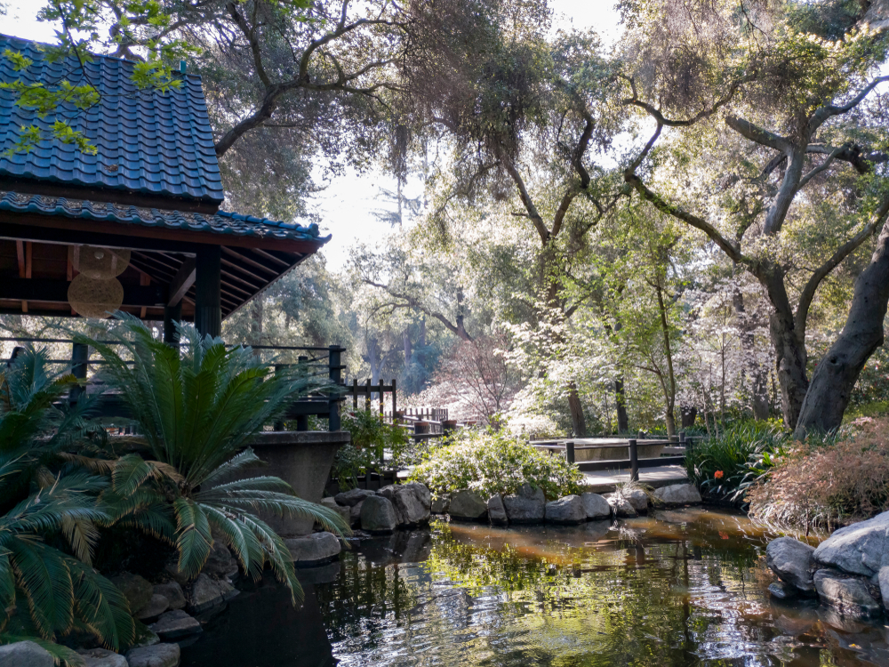 Descanso Gardens